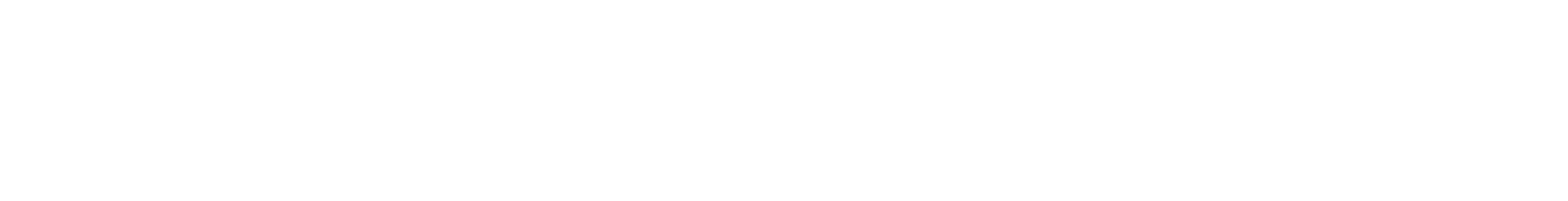 CorpLink